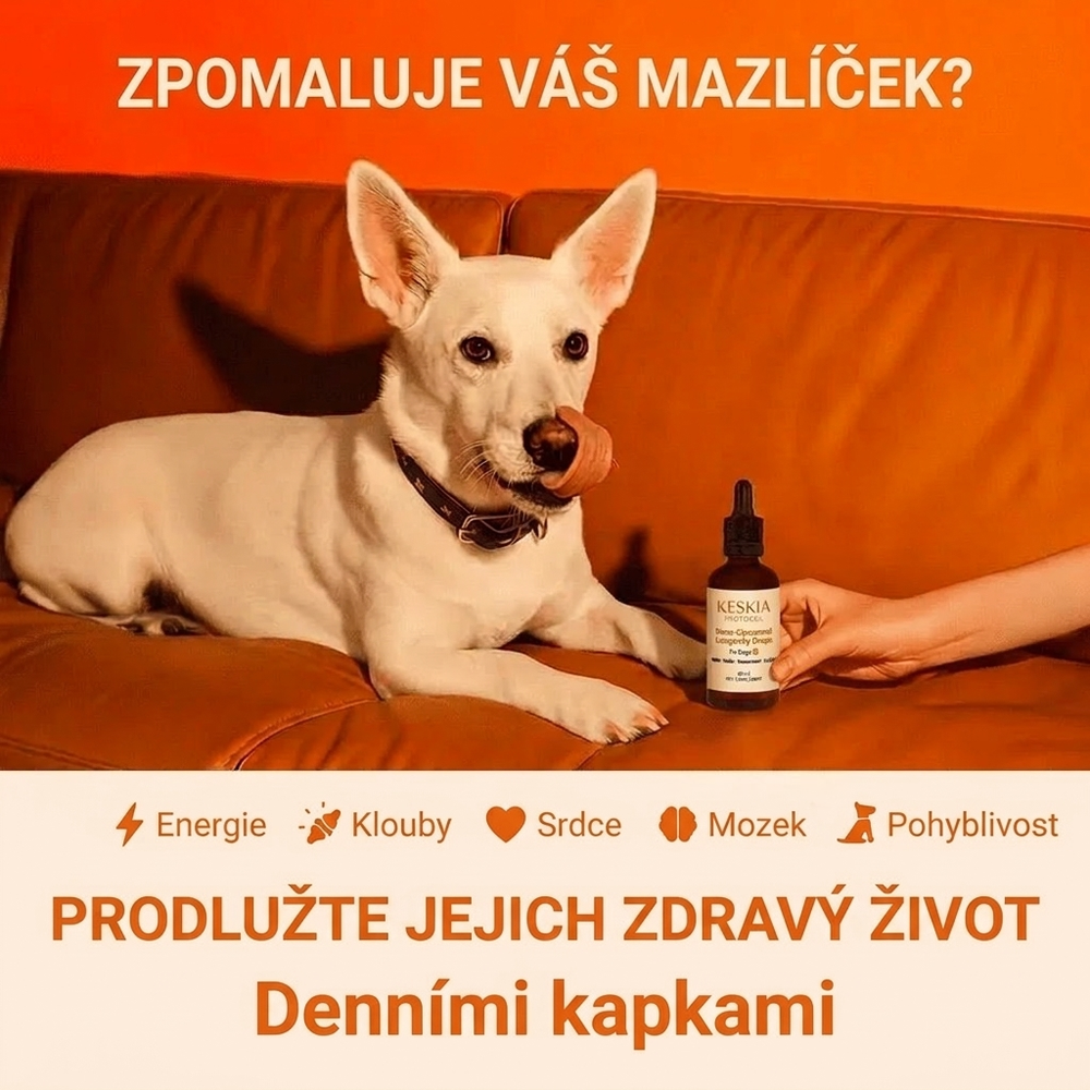 Keskia Protocol CZ