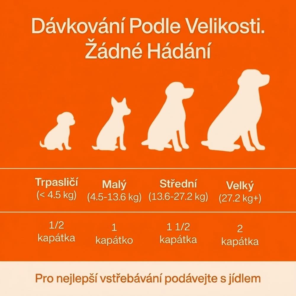 Keskia Protocol CZ