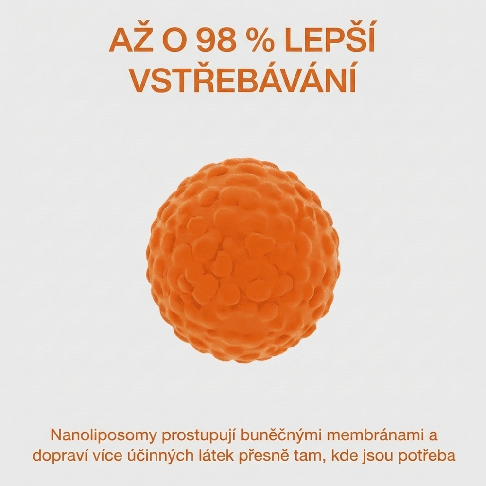 Keskia Protocol CZ