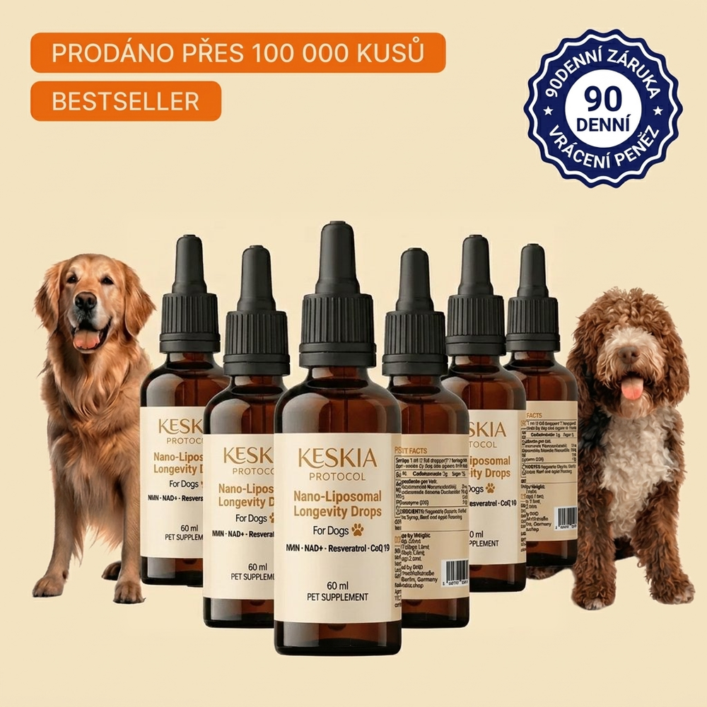 Keskia Protocol CZ