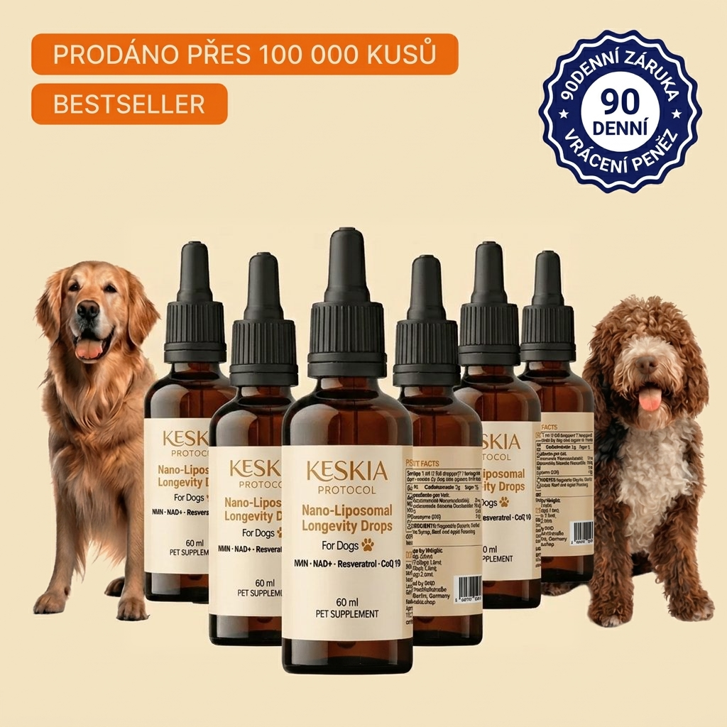 Keskia Protocol CZ