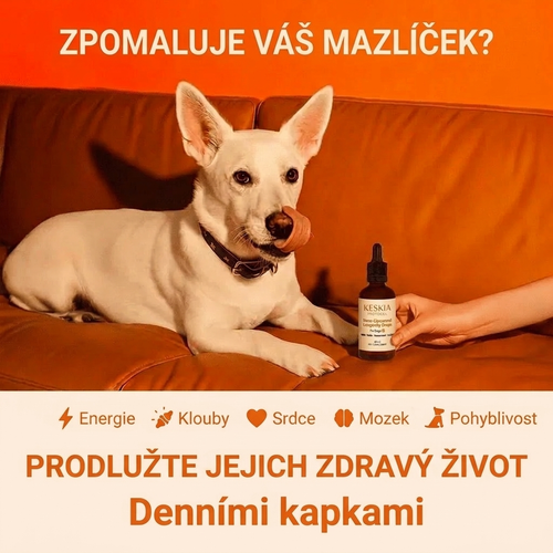 Keskia Protocol CZ