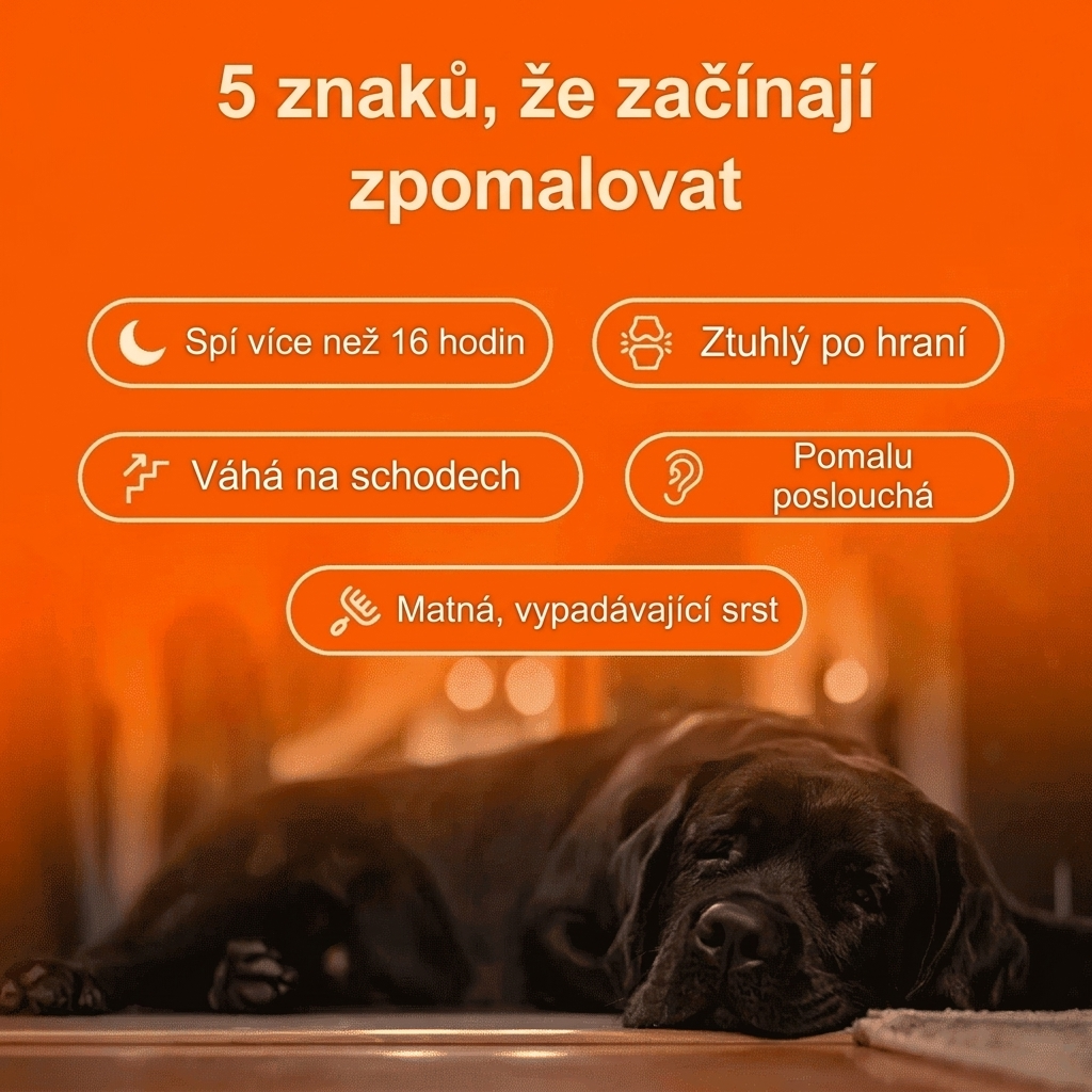 Keskia Protocol CZ