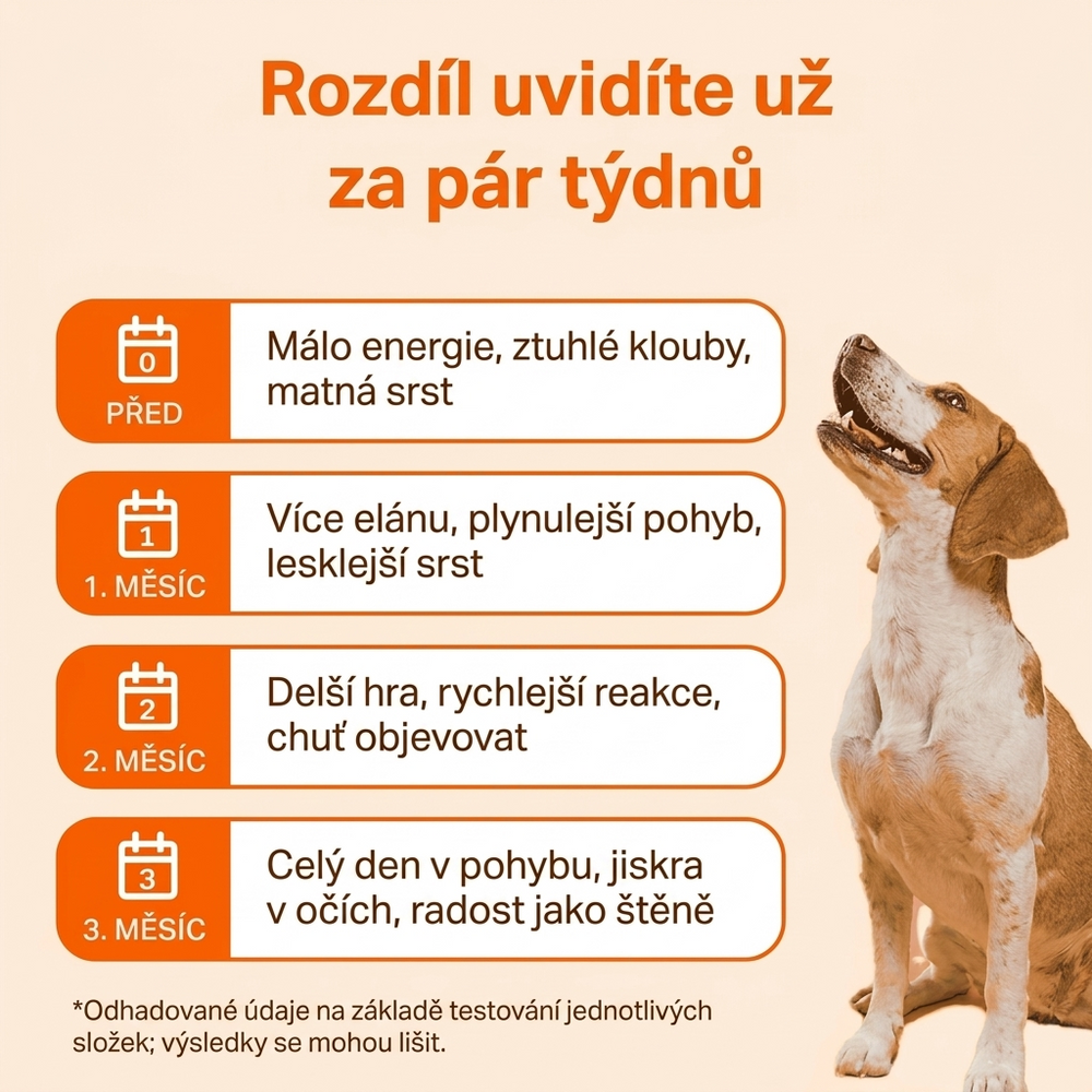 Keskia Protocol CZ