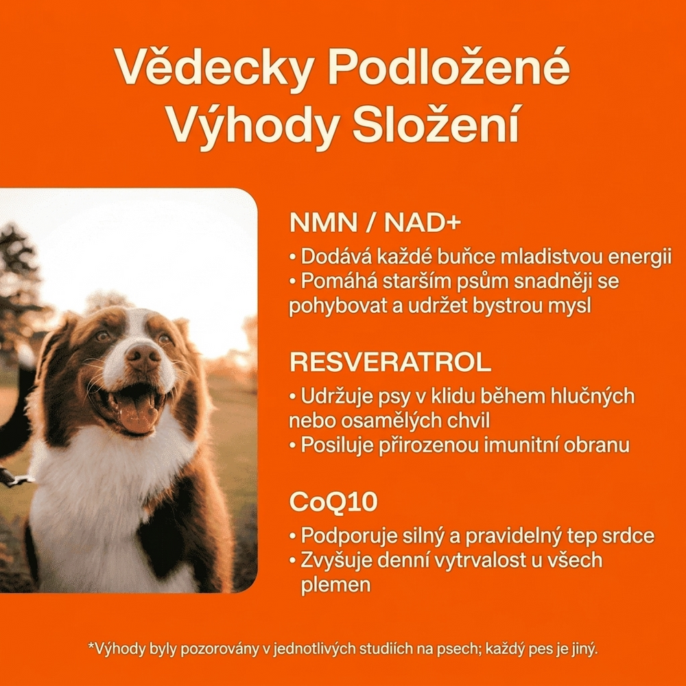 Keskia Protocol CZ