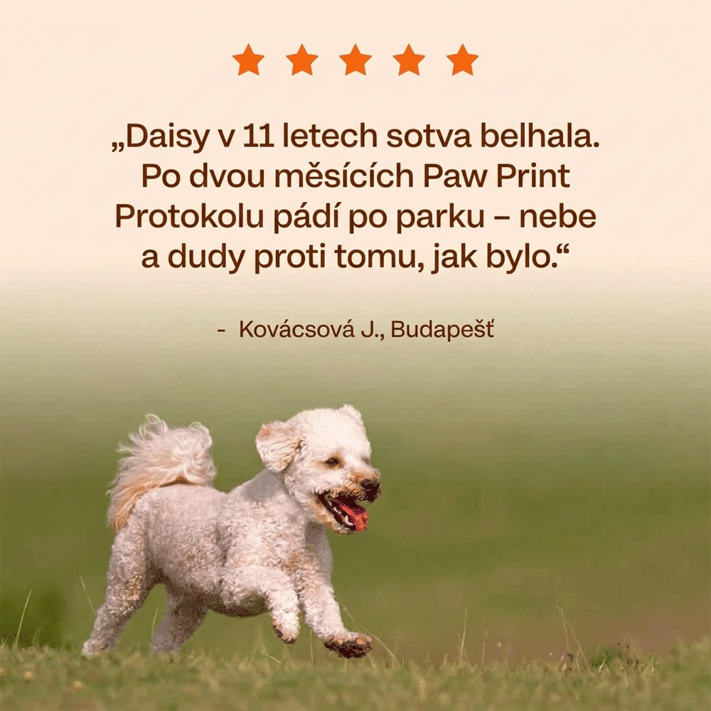 Keskia Protocol CZ